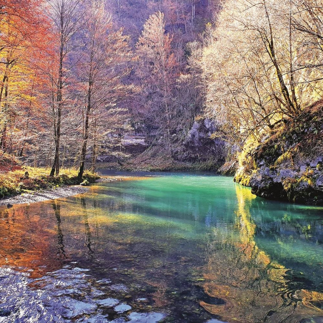 9663311
