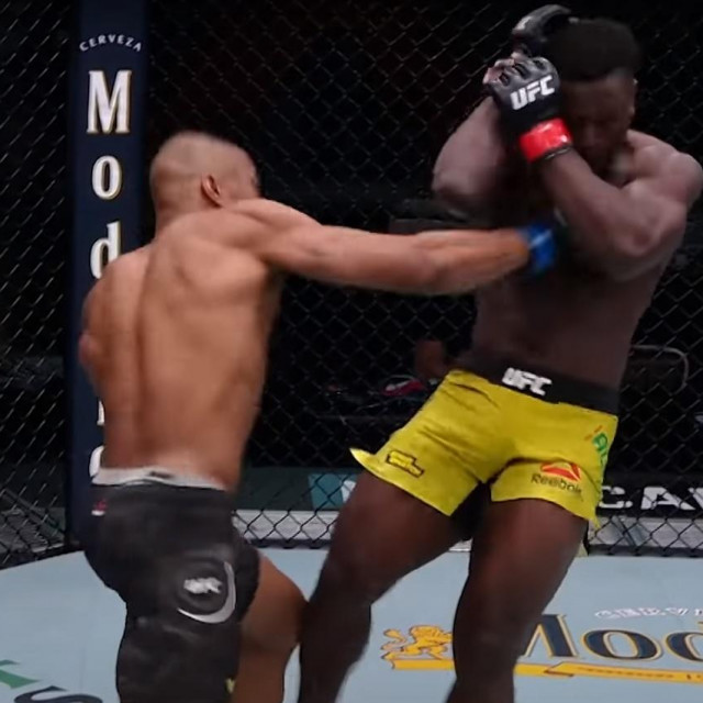 Williams vs. Alhassan