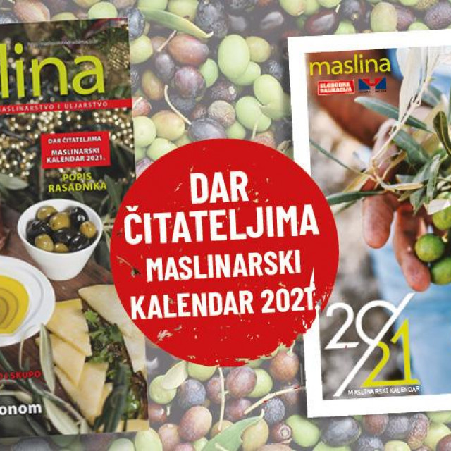 Novi broj magazina Maslina