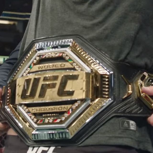 UFC pojas stipe