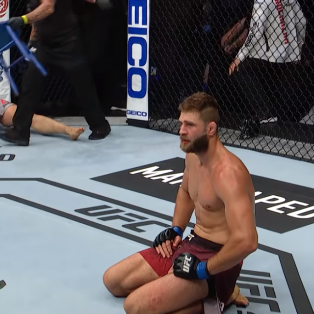 Jiri Prochazka vs Volkan Oezdemir