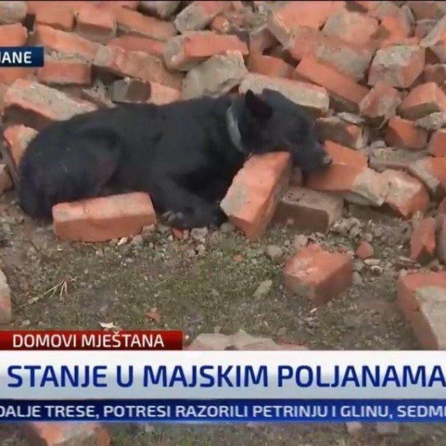 I oni su žrtve