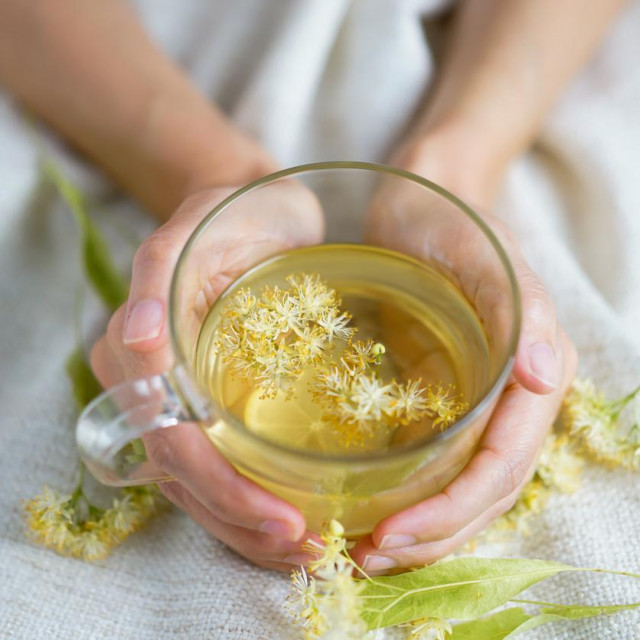 A cup of herbal tea (lime blossom/ linden tea) photographed on a cozy beige blanket with herbal flowers in the background.