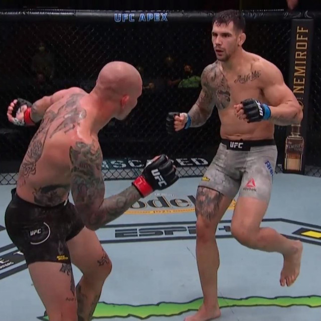 Anthony Smith vs. Aleksandar Rakić