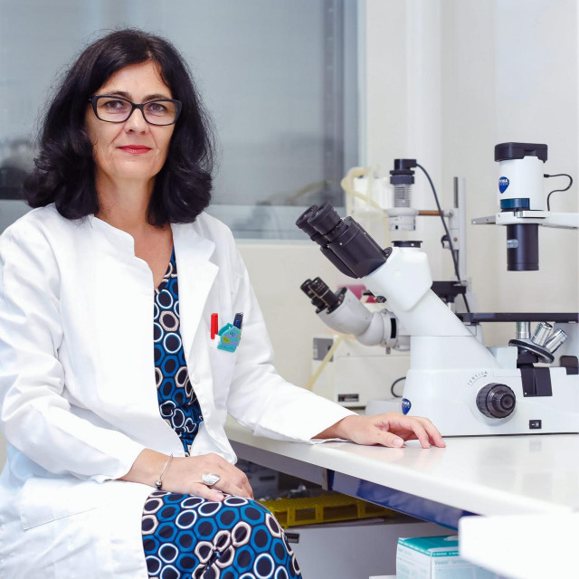 Andreja Ambriović Ristov, molekularna biloginja Instituta Ruđer Bošković