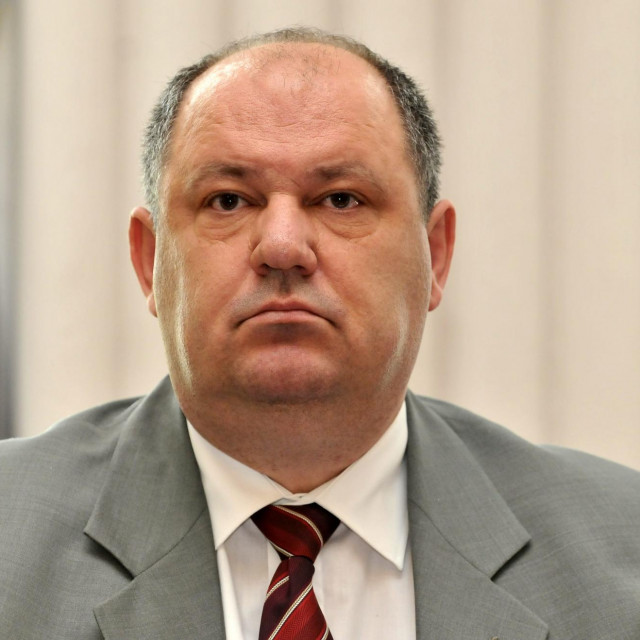 Damir Zorić