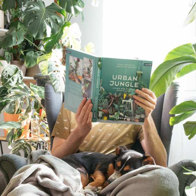 Fotografije: Dnevna doza biljaka