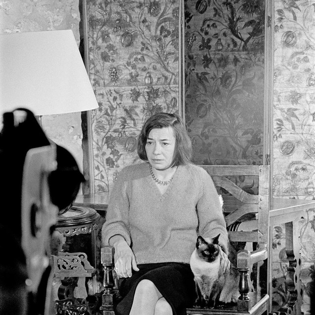 Patricia Highsmith hvaljena je kao jedna od najutjecajnijih i najslavnijih modernih spisateljica. Međutim, nikada nije postojala jasna slika žene koja stoji iza knjiga