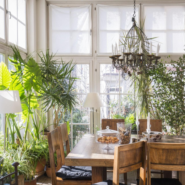 Zimski vrt (ilustracija)