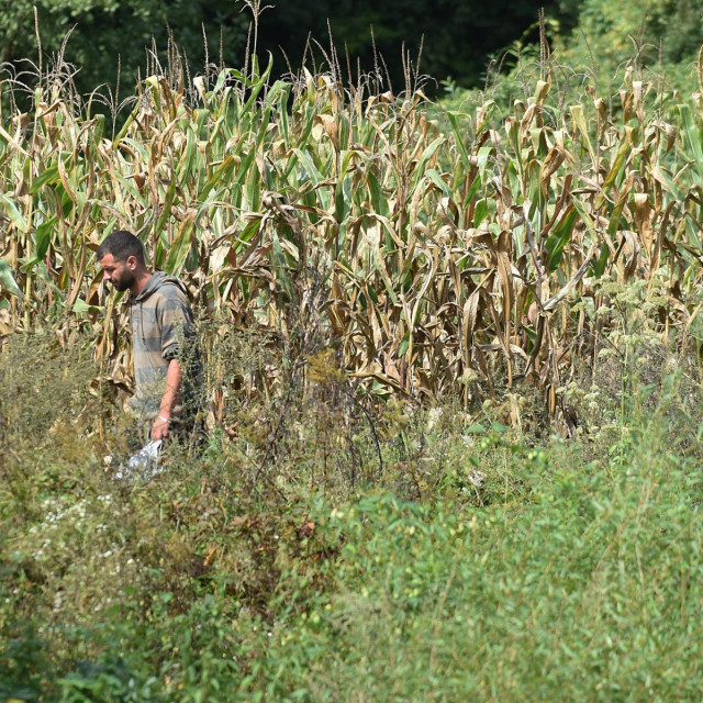 Arhivska fotografija