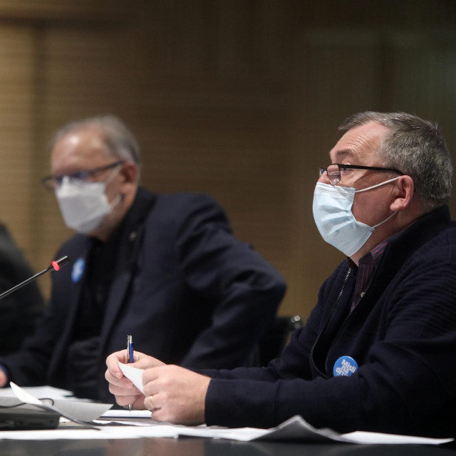 Davor Božinović, Krunoslav Capak