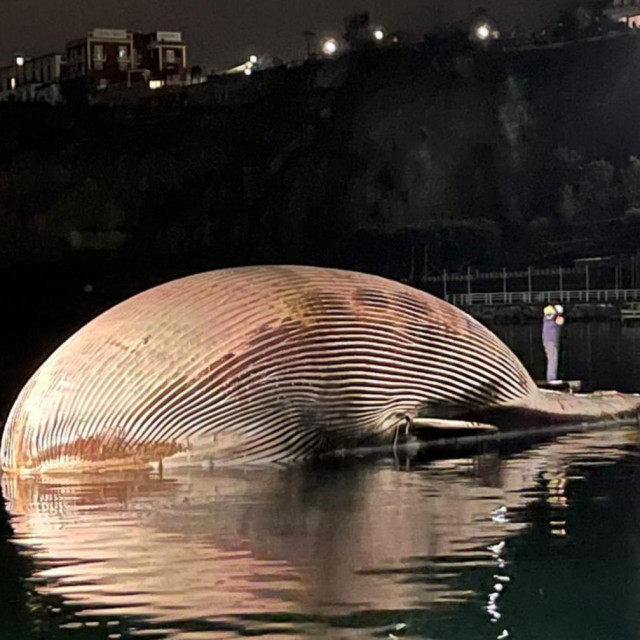 Tijelo golemog kita u Italiji