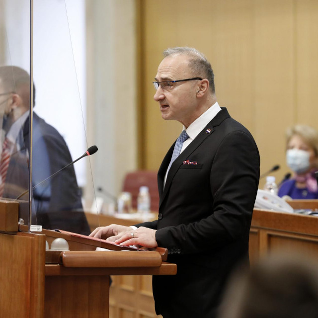 Gordan Grlić Radman u Saboru