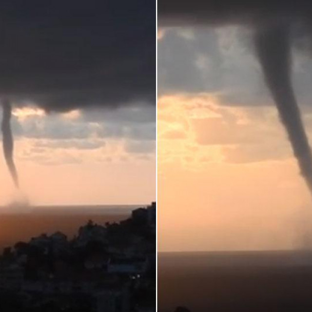 Pijavica u Dubrovniku