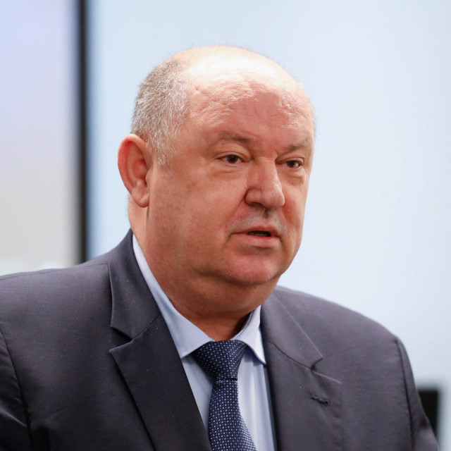 Damir Zorić