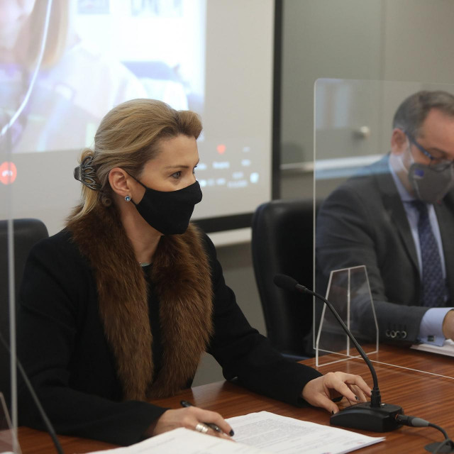 Nataša Novaković, Davorin Ivanjek i Aleksandra Jozić Iveković