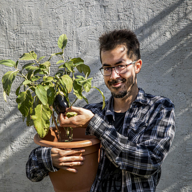 Iz cijelog je vrta preživio tek patlidžan “preživio”   