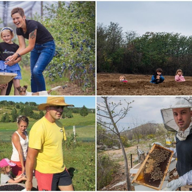Gore: Leo Lisjak, proizvođač borovnica (lijevo) i Agro HAHA (desno).
Dolje: Obitelj Krepenc (lijevo) i OPG Komadina (desno)