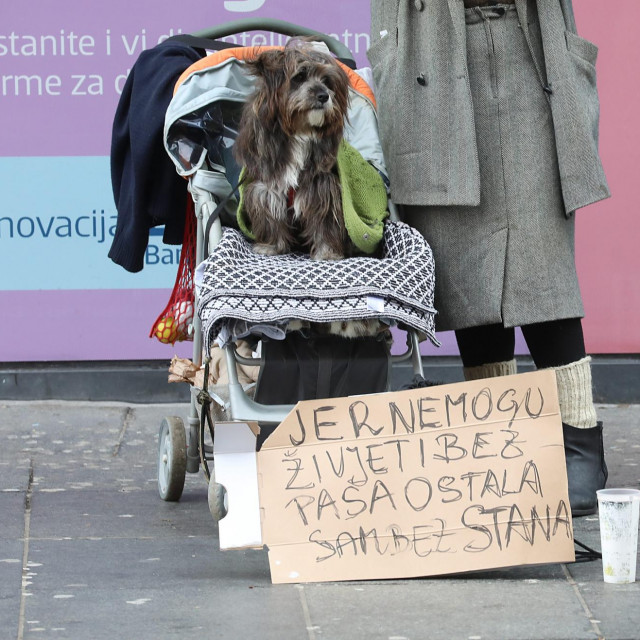 Pas Floki i njegova vlasnica ostali su bez stana u nedavnom potresu