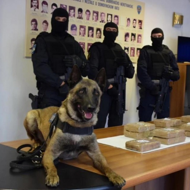 Policijski pas Johnny s kokainom kojega je nanjušio u skrovištu ispod suvozačeva sjedišta