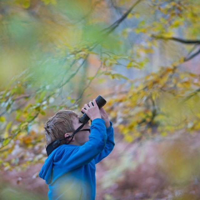 Image: 317273761, License: Rights-managed, Restrictions:, Model Release: yes, Credit line: David Tipling Photo Library/Alamy/Alamy/Profimedia