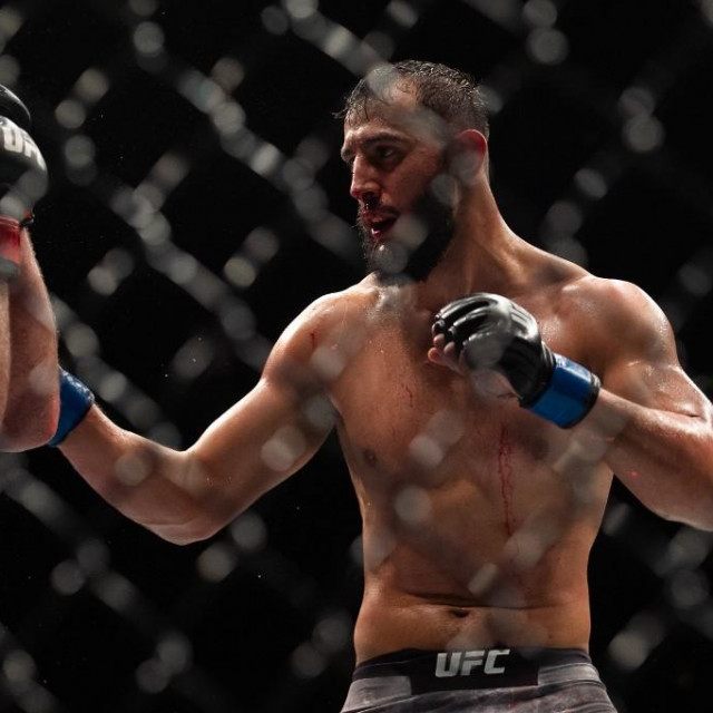 Dominick Reyes