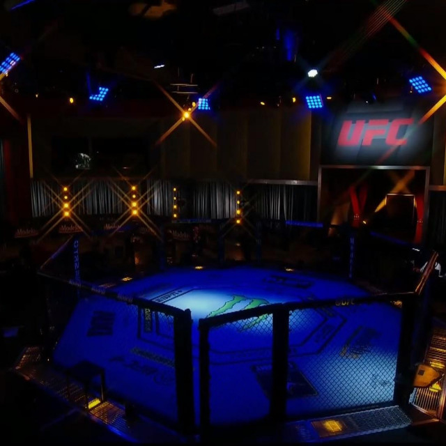 UFC APEX