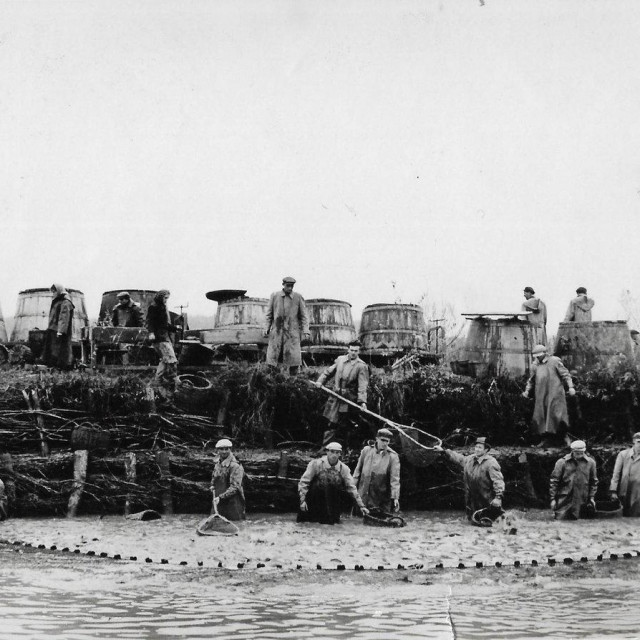 Izlov 60-tih godina/