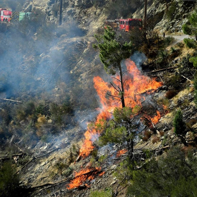 Šumski požar, ilustracija