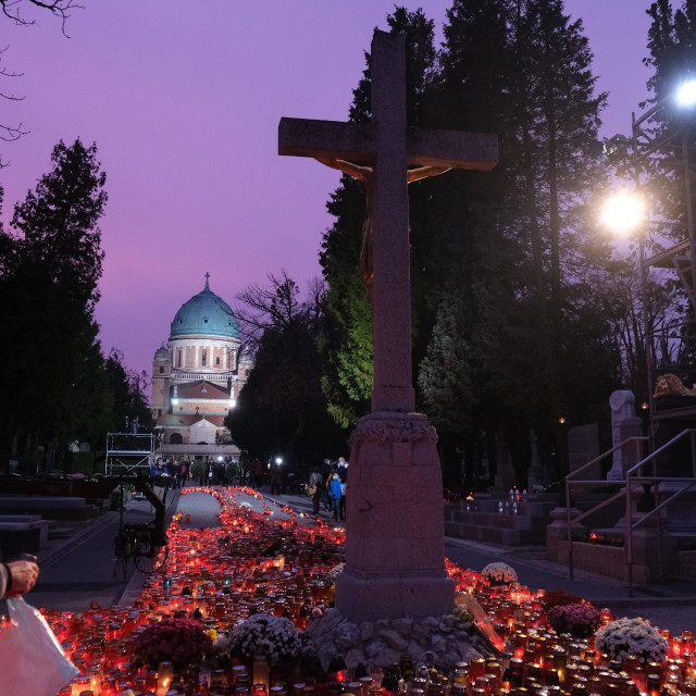 Ilustracija, Mirogoj