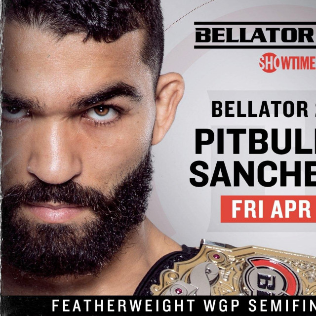 Bellator 255 poster