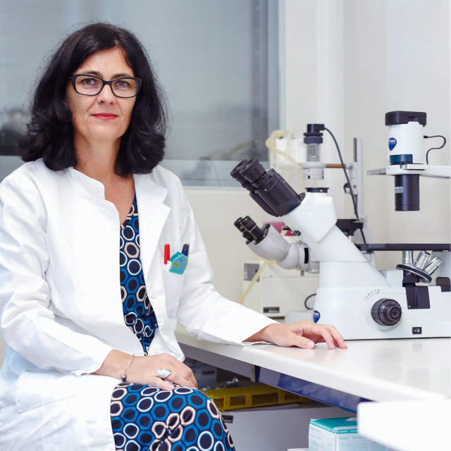 Andreja Ambriović Ristov