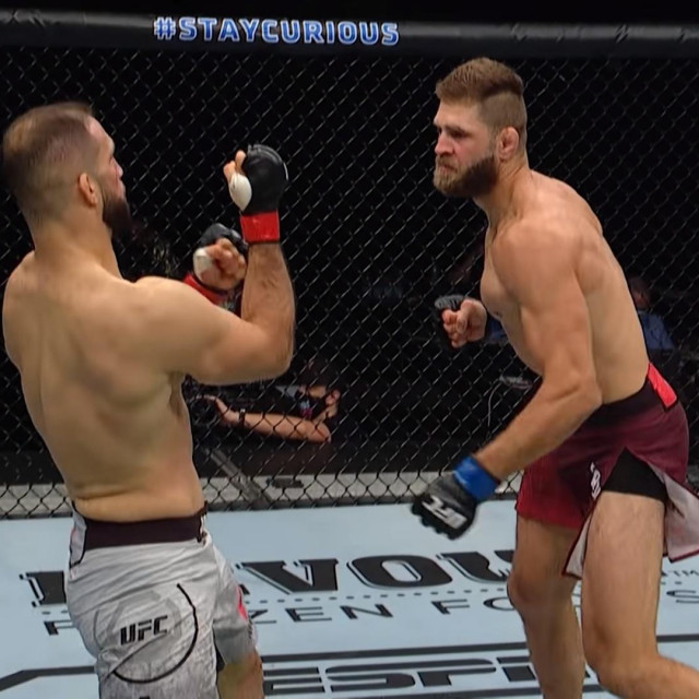 Oezdemir vs. Prochazka