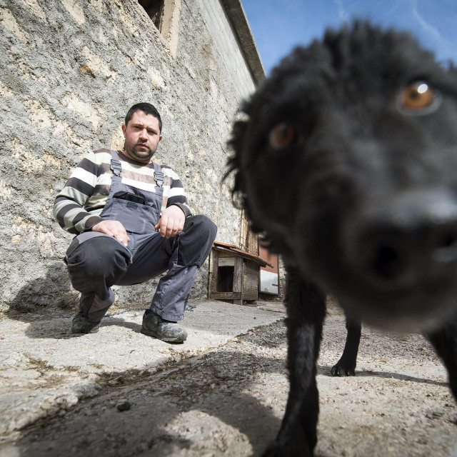 Marijo Jukic, vlasnik kujice koja se okotila
 