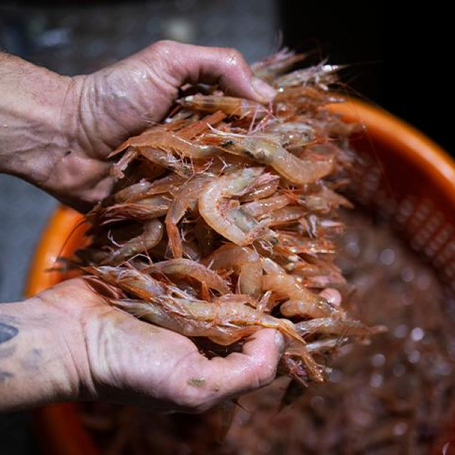 Ribarski obrt Karabatić