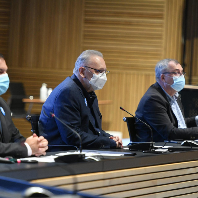 Vili Beroš, Davor Božinović, Krunoslav Capak