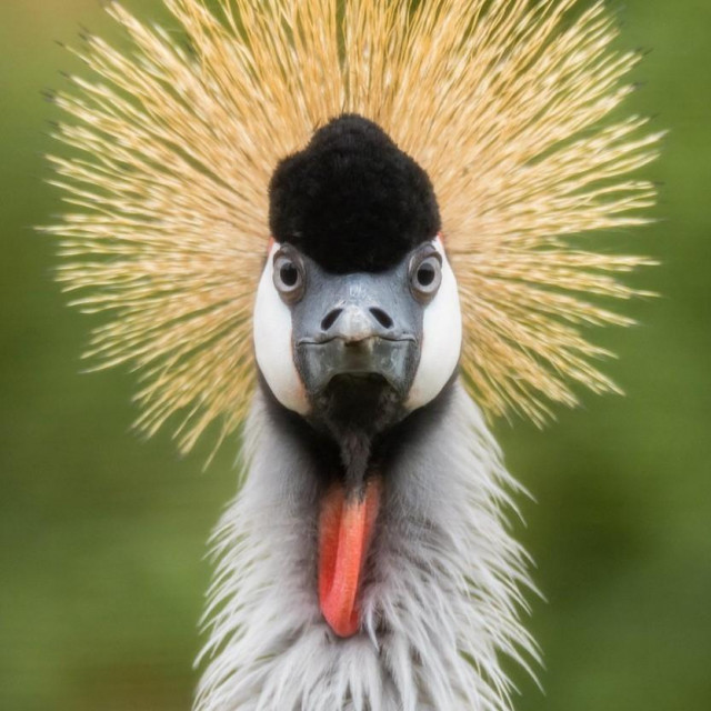 Image: 342964006, License: Royalty-free, Restrictions:, Model Release: no, Credit line: Ian Redding/Alamy/Alamy/Profimedia