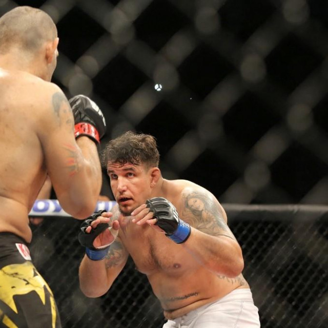 Antonio Silva vs. Frank Mir