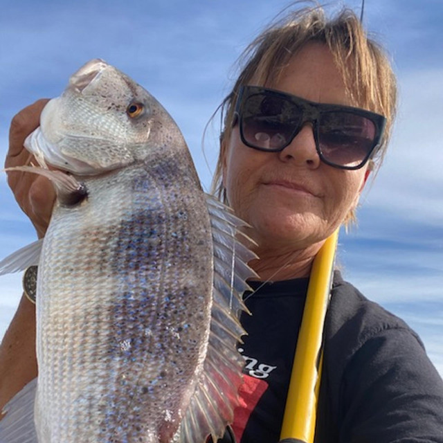 Zubace najbolje lovi lignjom i srdelom