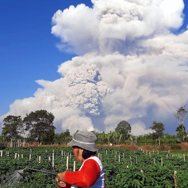 Planina Sinabung na Sumatri