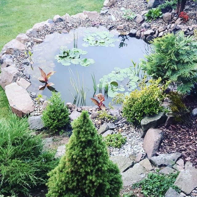 Instagram @premekbocek