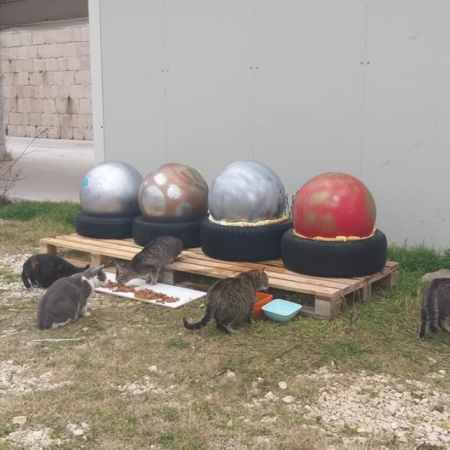 Neobične kućice za mačke