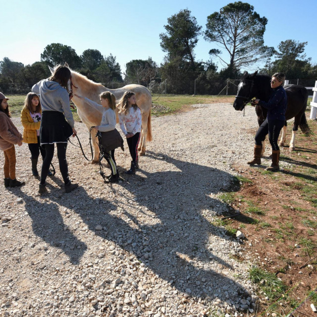 Nedjeljom se u Konjičkom klubu 'Sv. Krševan' (Saddle Club Zadar) održava Pony Club, zabava za djecu koja vole konje i koja žele više naučiti o tim životinjama, sve nadomak Zadra