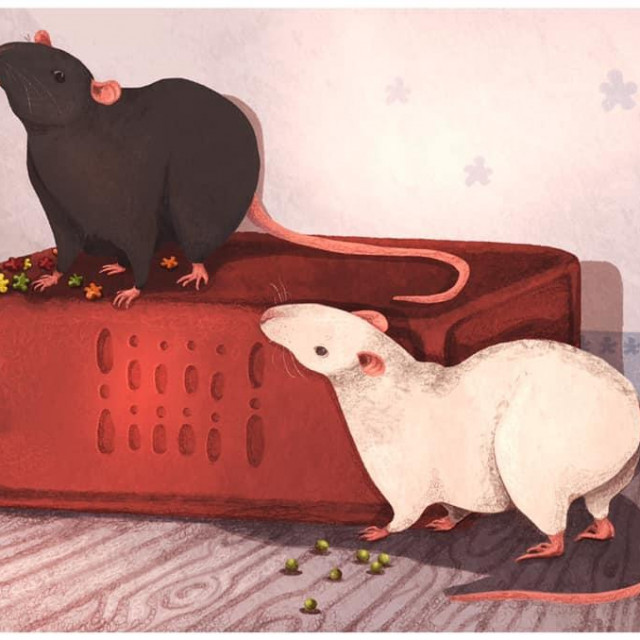 Ilustracije koje Dora stvara