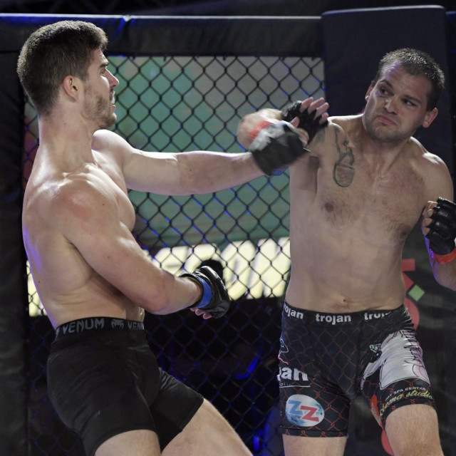 Đurđev vs. Bažant