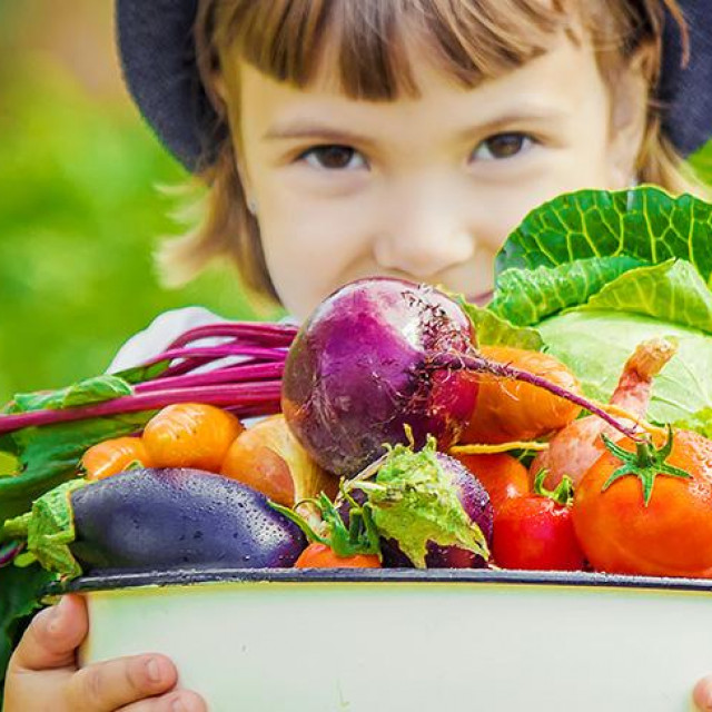 Konzum voće i povrće
