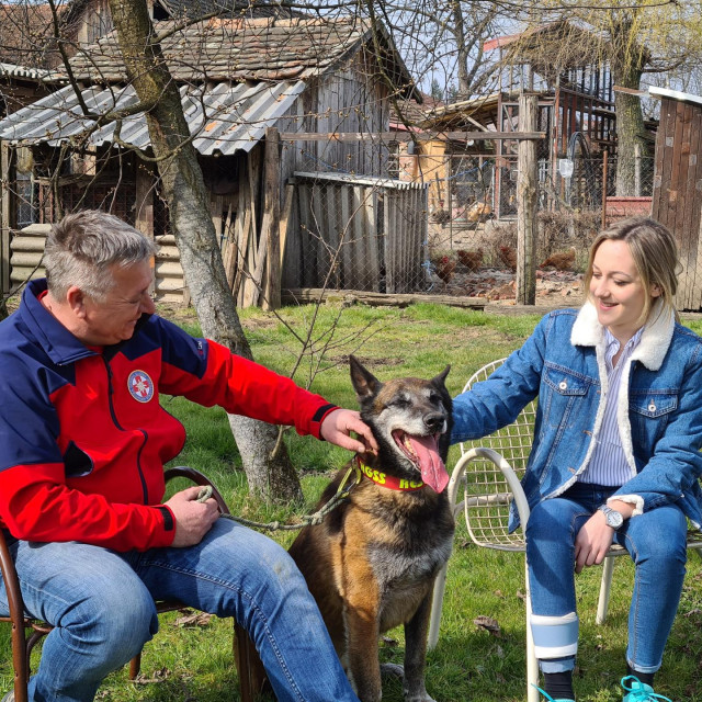 Pas Draco i Gabrijela