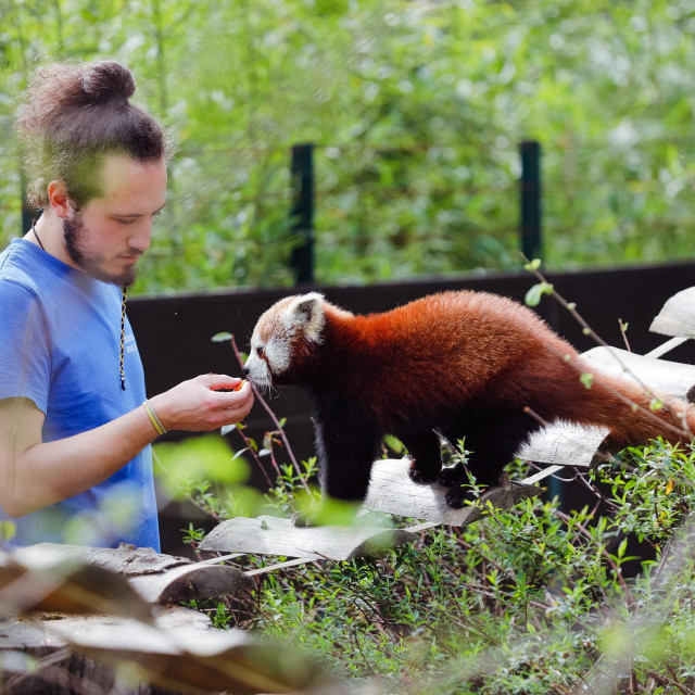 ZOO