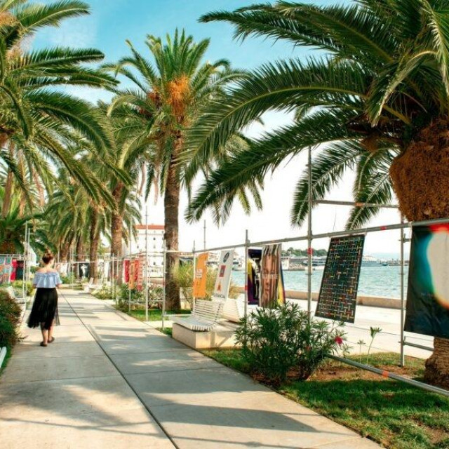 Split, Izložba Tolarancija