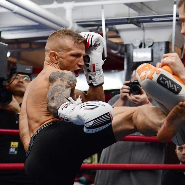 TJ Dillashaw i Duane Ludwig